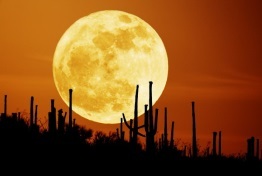 Full moon over desert